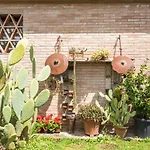 Il Botteghino