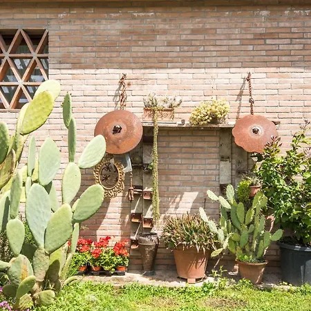 Il Botteghino